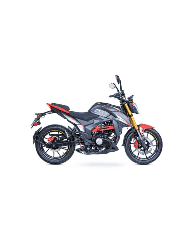 Carabela R250z - Imagen 2