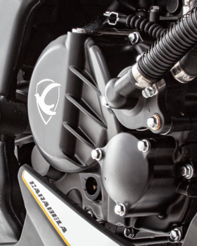 Carabela R300z - Imagen 5
